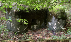 sec-u-jesenika-vec-247je-prehled