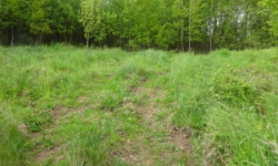 decin-stare-mesto-pc-976-1-prehled
