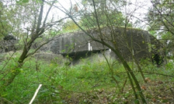 dolni-benesov-vec-222-prehled