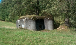 domasov-u-jesenika-vec-221je-prehled
