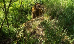 dyjakovice-vec-536ol-prehled