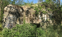 dyjakovice-vec-551ol-prehled
