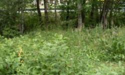 jindrichuv-hradec-pc-3847-3-3852-2-3-3855-prehled