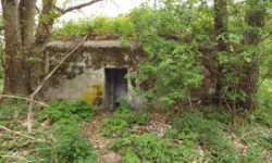 podhradi-nad-dyji-vec-248ol-prehled