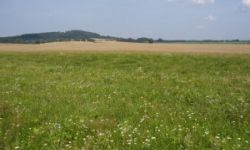 podili-u-mnichova-hradiste-podil-166-20-prehled