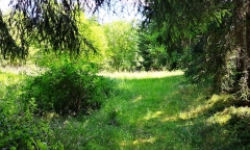 skalka-u-hazlova-pc-210-7-prehled