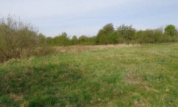 skvorec-pc-2020-prehled