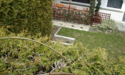 zizkov-podil-pc-3093-1-3095-6-prehled