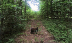 bartosovice-pc-2436-2437-2444-prehled