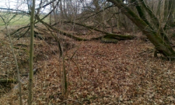 belotin-pc-2188-prehled