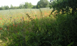 belotin-pc-2219-prehled