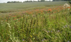 belotin-pc-2220-4-prehled