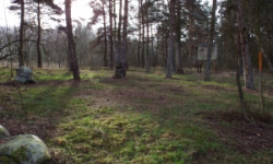 benatecka-vrutice-pc-344-3-355-7-8-jirice-pc-169-27-prehled