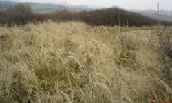 benesov-u-prahy-pc-2915-2937-2938-2939-prehled