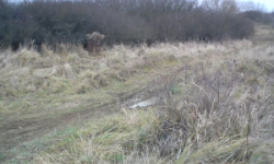 benesov-u-prahy-pc-2947-2948-2981-2982-2983-prehled