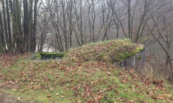 bitov-vec-287ol-prehled