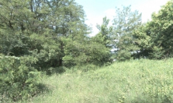 breclav-pc-1284-13-1962-207-prehled