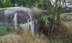 brezi-u-mikulova-vec-673ol-prehled