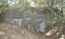 brezi-u-mikulova-vec-678ol-prehled