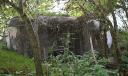 brezi-u-mikulova-vec-679ol-prehled