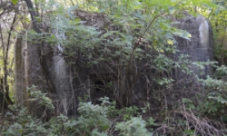 brezi-u-mikulova-vec-683ol-prehled