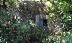 brezi-u-mikulova-vec-685ol-prehled