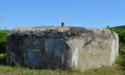 brezi-u-mikulova-vec-686ol-prehled