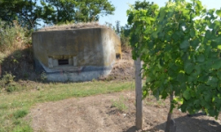 brezi-u-mikulova-vec-691aol-prehled