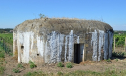 brezi-u-mikulova-vec-691ol-prehled