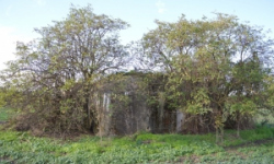 brezi-u-mikulova-vec-692ol-prehled