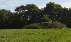 brezi-u-mikulova-vec-701ol-prehled