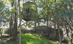 brezi-u-mikulova-vec-702ol-prehled