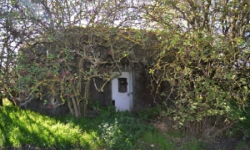 brezi-u-mikulova-vec-703ol-prehled