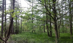 cervene-pecky-pc-1564-1566-539-2-prehled