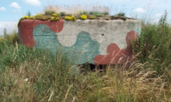 chvaletin-vec-6061-prehled