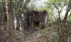 chvaletin-vec-6076-prehled