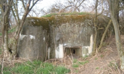 dobre-pole-vec-665ol-1-prehled