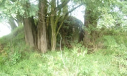 dobre-pole-vec-666ol-prehled