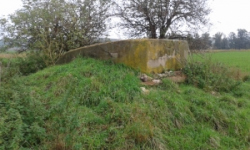 dobre-pole-vec-668ol-prehled