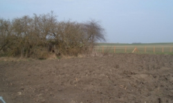 dobre-pole-vec-672ol-prehled