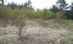 doksy-u-machova-jezera-pc-1244-40-prehled