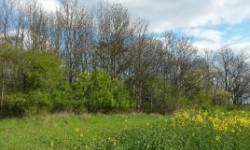 dolni-mecholupy-pc-6402-prehled