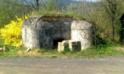 domasov-u-jesenika-vec-225je-prehled