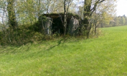 domasov-u-jesenika-vec-231je-prehled