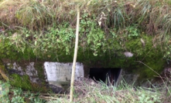 dyje-vec-445ol-prehled