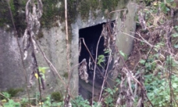 dyje-vec-453ol-prehled