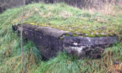 dyje-vec-460ol-prehled