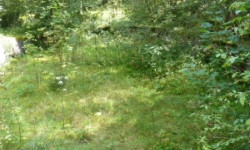 hojsova-straz-podil-pc-431-5-prehled