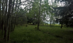 horni-lukavice-pc-2021-prehled