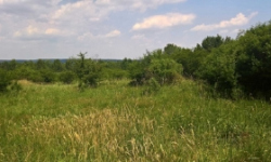 horsovsky-tyn-15-pc-cast-3-prehled